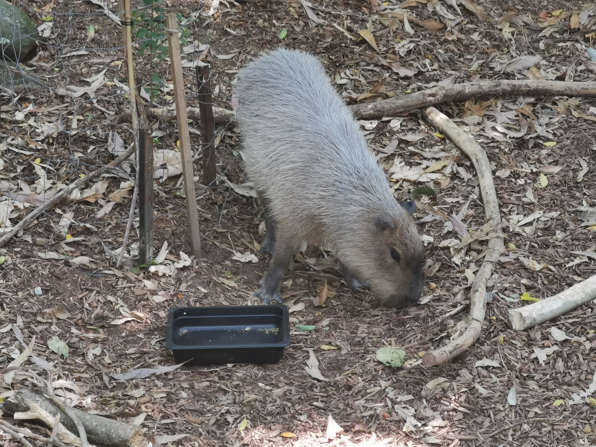 image-20251108220844049